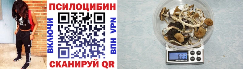 Галлюциногенные грибы MAGIC MUSHROOMS  Владимир 