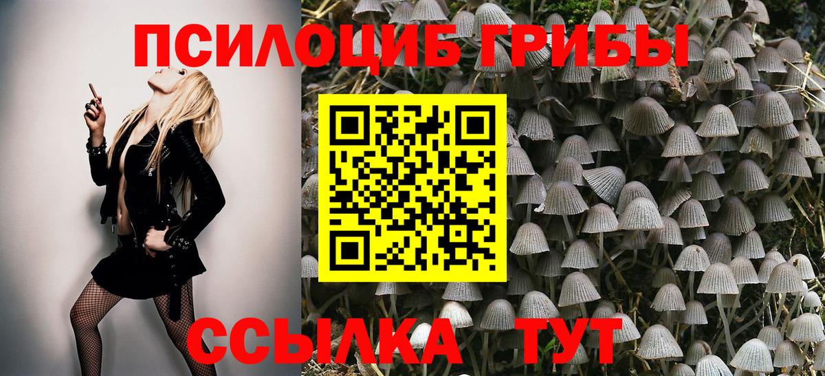 Галлюциногенные грибы Psilocybe Владимир