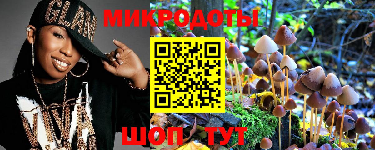 Псилоцибиновые грибы ЛСД  Владимир  Псилоцибиновые грибы Psilocybe 