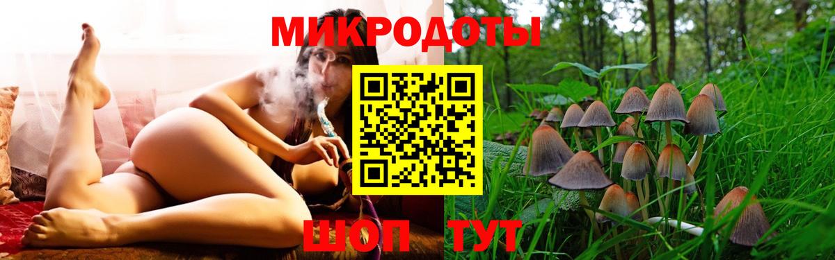 Владимир  Псилоцибиновые грибы MAGIC MUSHROOMS  Псилоцибиновые грибы мухоморы  Вход с VPN 