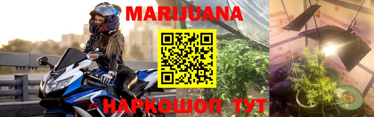 Каннабис AK-47  МАРИХУАНА Ganja  Шишки марихуана семена  Владимир 